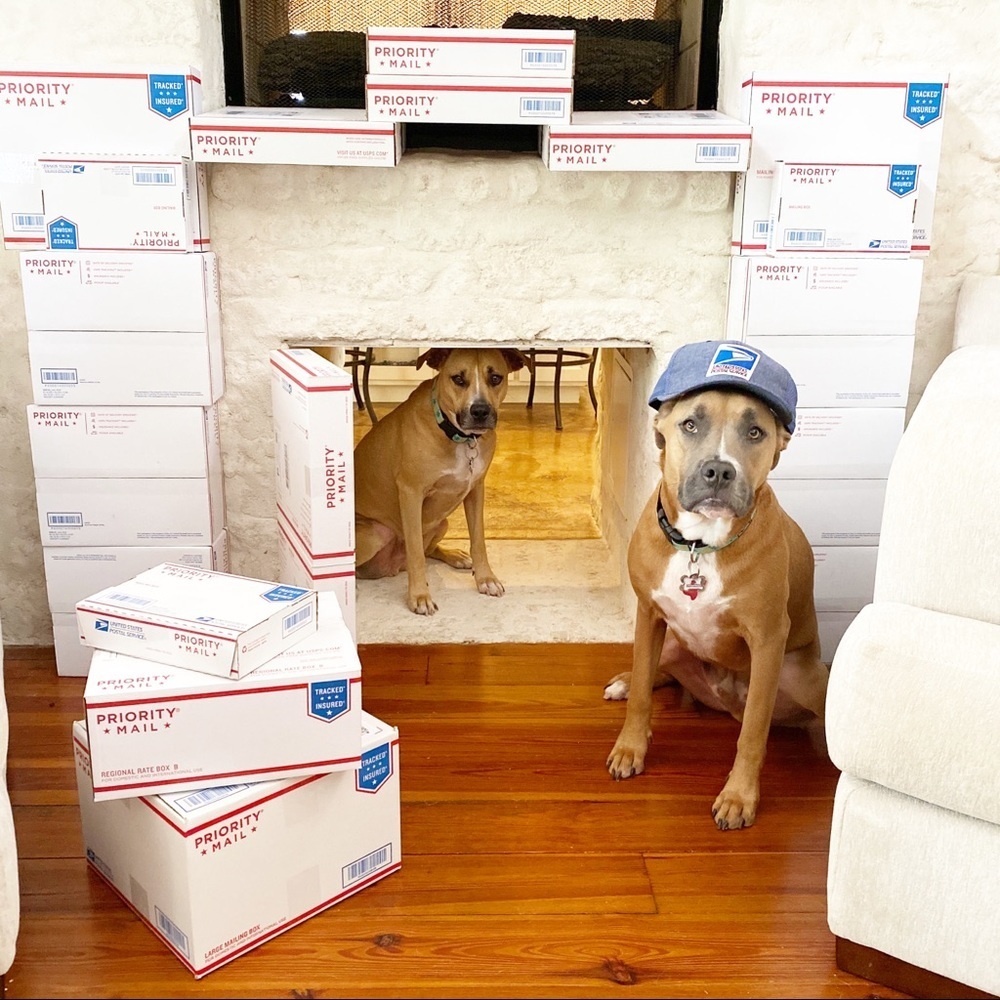 FOLLOW MY CUTE PAWSH ASSISTANTS! 🐶🐶🛍👑🐝